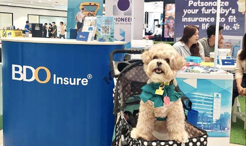 Cute dog beside BDO booth